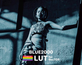 BLUE - Film Emulation LUT for Rec709 - For Professional Filmmaking and Photography 