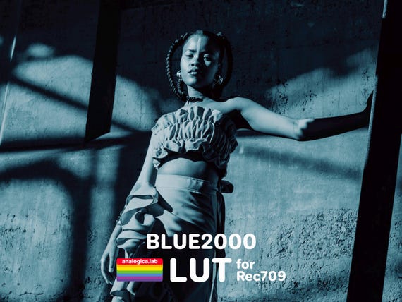 LUT BLUE 2000 Film Simulation Professional Color Grading VideoLut PhotoLut filetype: .cube for Rec709 Film Emulation