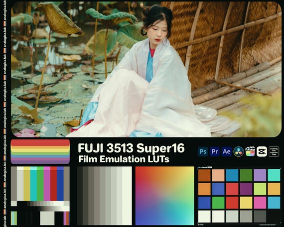 LUT FUJI 3513 Super16MM Film - LookUp Table Luts for Film Emulation and Professional Color Grading developed by analogicalab