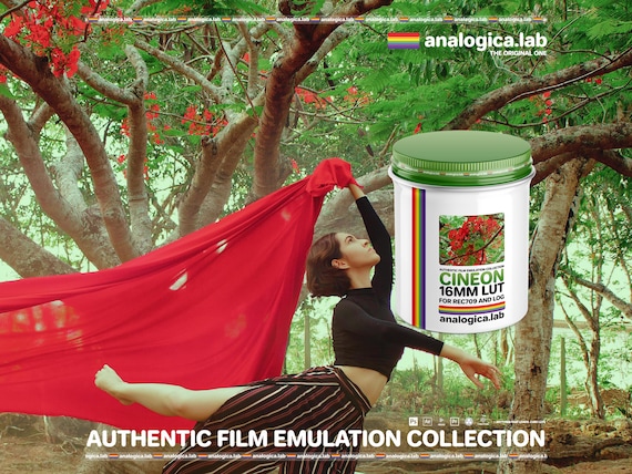 LUT CINEON 16MM - LUT N# 5 - developed by analogica - analogicalab