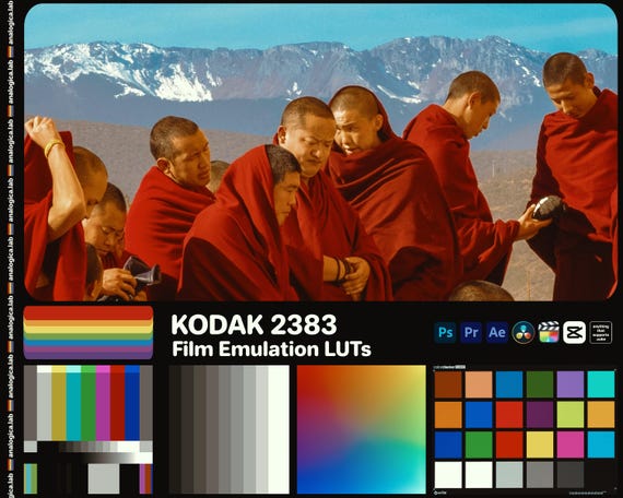 10 LUTs based on KODAK 2383 35MM Film - LookUp Table LUT for Film Emulation and Professional Color Grading developed by analogicalab