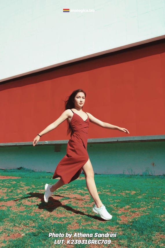 Super16MM Kodak Vision3 2393 Professional Color Grading Film Emulation LUTs for Rec709 & LOG by analogicalab