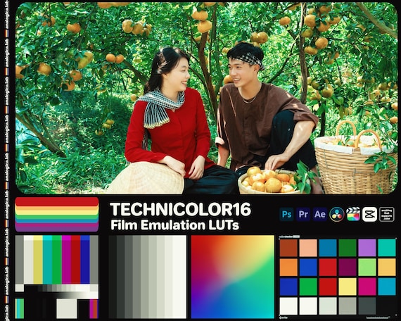 LUT TECHNICOLOR Super16MM Film - LookUp Table Luts for Film Emulation and Professional Color Grading developed by analogicalab