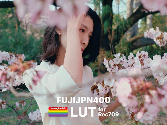 LUT FUJIJPN 400 35MM Film Simulation Professional Color Grading VideoLut PhotoLut filetype: .cube for Rec709 Film Emulation
