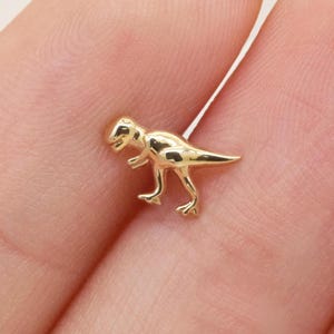 Aro de oro macizo de 14 k con forma de dinosaurio, aro con rosca interna para cartílago, aro con forma de caracol, aro con rosca para hélix, trago, aro con rosca plana en la parte posterior