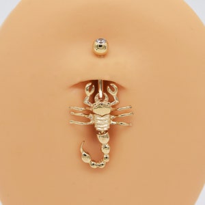 Scorpion belly new arrivals