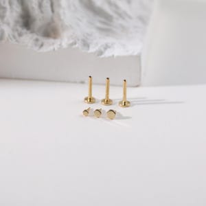 K&ouml;nnte beinhalten: Sechs goldfarbene Lippen- oder Ohrstecker sind auf einer wei&szlig;en Oberfl&auml;che angeordnet. Drei Stecker haben einen Stab und eine flache, runde Oberseite. Die anderen drei Stecker sind flach und rund. Die Stecker sind in verschiedenen Gr&ouml;&szlig;en.