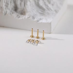 K&ouml;nnte beinhalten: Goldfarbene K&ouml;rperschmuck-Ohrstecker in verschiedenen Gr&ouml;&szlig;en. Das Bild zeigt drei Ohrstecker mit flachen R&uuml;ckseiten und drei mit gebogenen R&uuml;ckseiten, mit den Ma&szlig;en 1,5 mm, 2 mm und 2,5 mm. Der Schmuck wird auf einer wei&szlig;en Oberfl&auml;che pr&auml;sentiert.