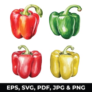Watercolor Bell Pepper Clipart Set, Red Green Yellow Pepper Illustration, Vegetable Graphics, SVG - PNG, Digital Download for Commercial Use