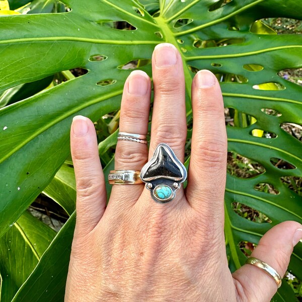 Natural Baja Turquoise & Fossilized Shark Tooth Sterling Silver // One of a Kind Ring // Save the Sharks // Dream Collection