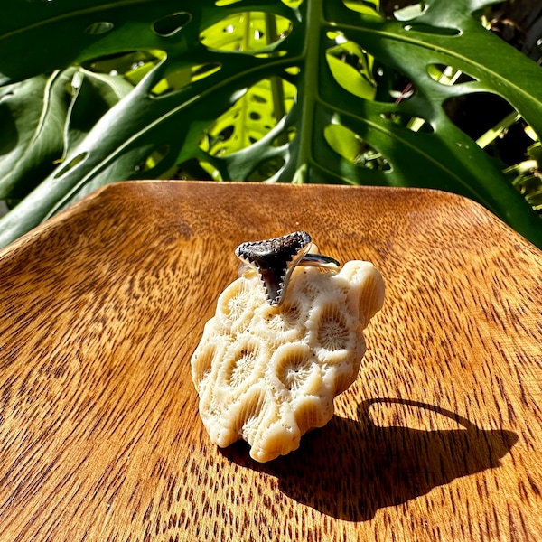 Fossilized Shark Tooth Sterling Silver Stacking Ring // One of a Kind // Respect the Locals // Dream Collection