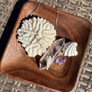 May include: A gold chain necklace with a seashell pendant, a clear quartz crystal, and amethyst stones on a wooden tray.