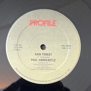 Vintage Vinyl – Paul Hardcastle - Rain Forest - Profile Records – 1985 - Funk/ Electronic - 12&quot; Vinyl - VG+