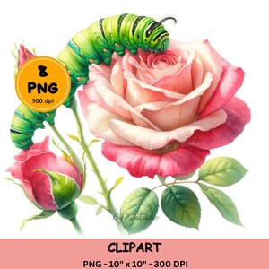 Aquarell Frühling Insekten auf Blume ClipArt, Biene auf Sonnenblume png, Wurm auf Rose Sublimation, Libelle, Motte auf Lavendel Clip Art