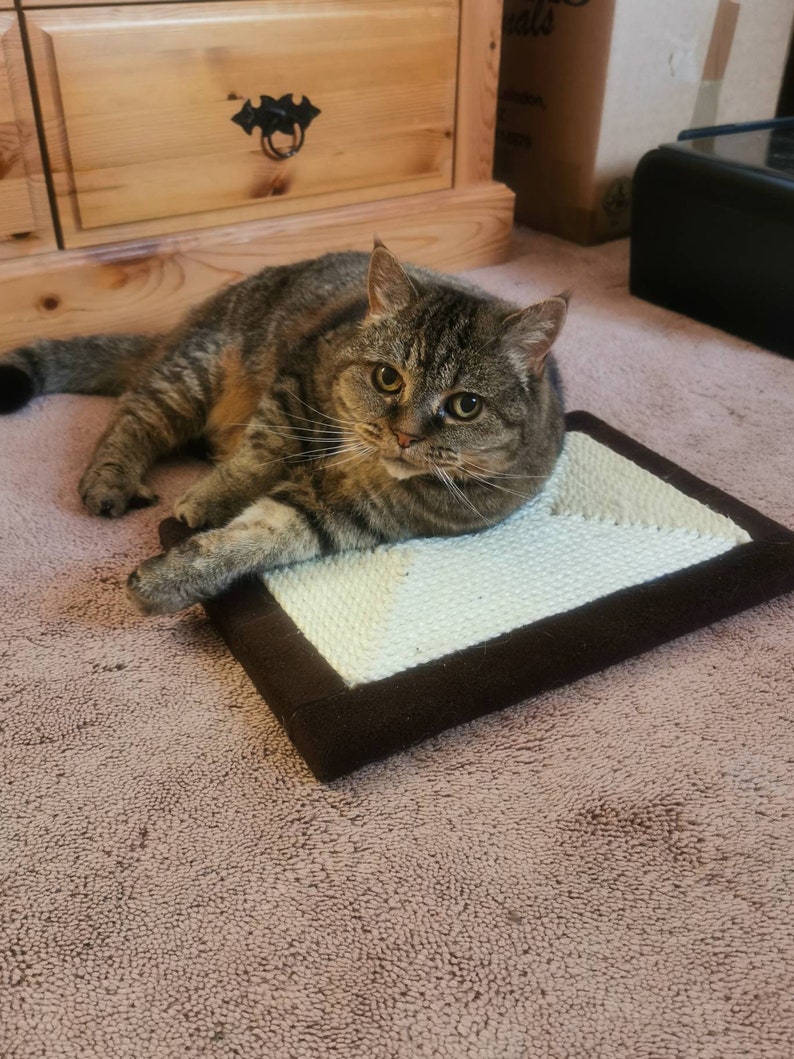 Puede incluir: Un gato atigrado con ojos verdes yace sobre un rascador marr&oacute;n y blanco con una alfombra beige en el fondo.