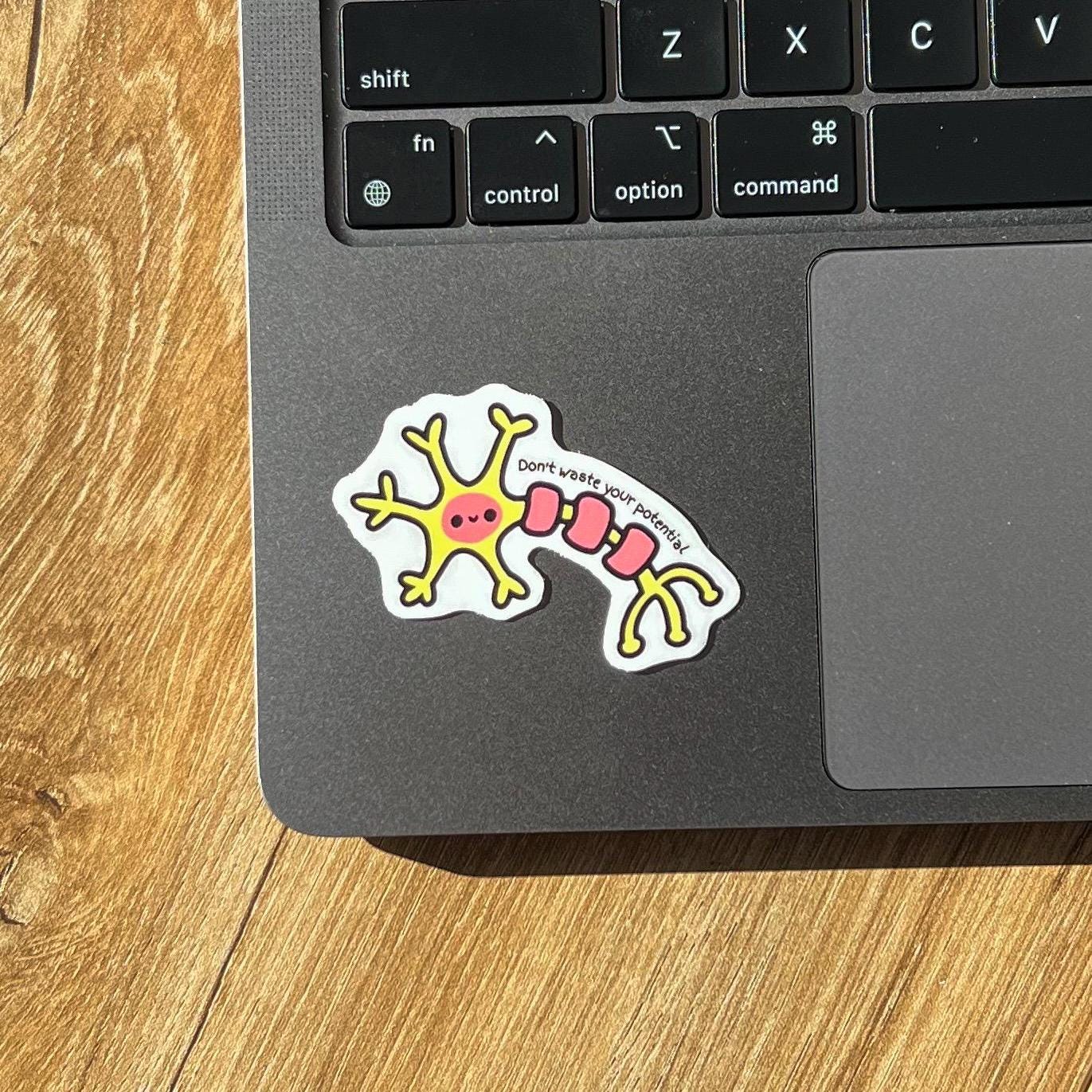 Don't Waste Your Potential Sticker, Neuron Sticker, Neurons That Fire ...
