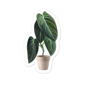 Philodendron Melanochrysum Sticker, Philodendron Sticker, Plant Mom Sticker, Plant Sticker, Vinyl Sticker, Cadeau voor plantenliefhebber