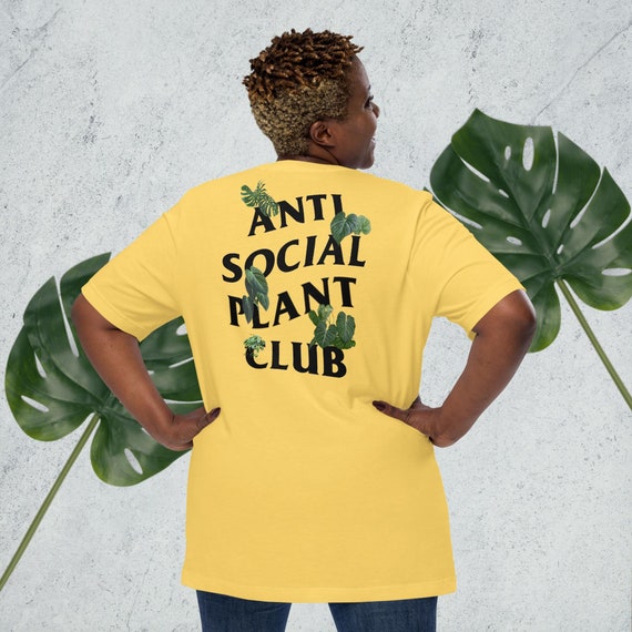 deal plant Catnip