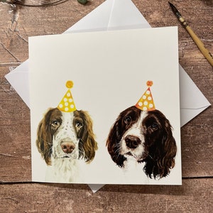 Geburtstagskarte für Spaniel | Braune und weiße Springer Karte