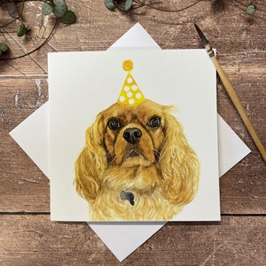 Cavalier King Charles Spaniel Geburtstagskarte