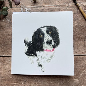 Geburtstagskarte für Spaniel | Black & White Springer Spaniel | Jede Anlass-Karte