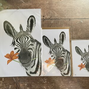 May include: Three different sizes of prints featuring a black and white zebra with an orange flower in its mouth. The zebra is looking directly at the viewer. The prints are on white paper with a white background.