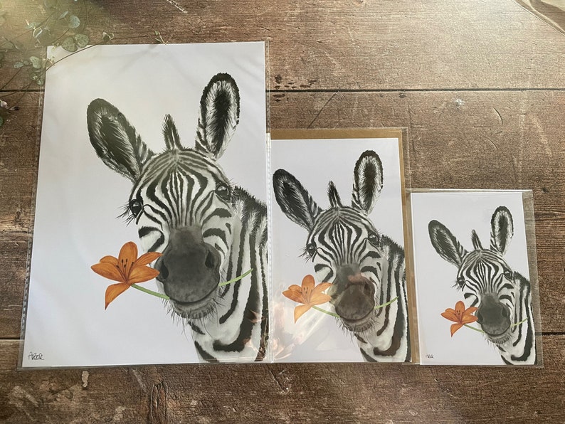 May include: Three different sizes of prints featuring a black and white zebra with an orange flower in its mouth. The zebra is looking directly at the viewer. The prints are on white paper with a white background.