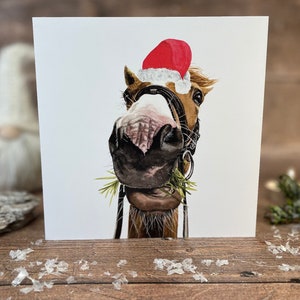 Horse Christmas Card