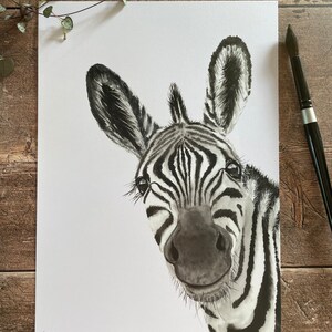 May include: Black and white watercolor painting of a zebra's face. The zebra is looking directly at the viewer with a curious expression. The painting is on a white background.