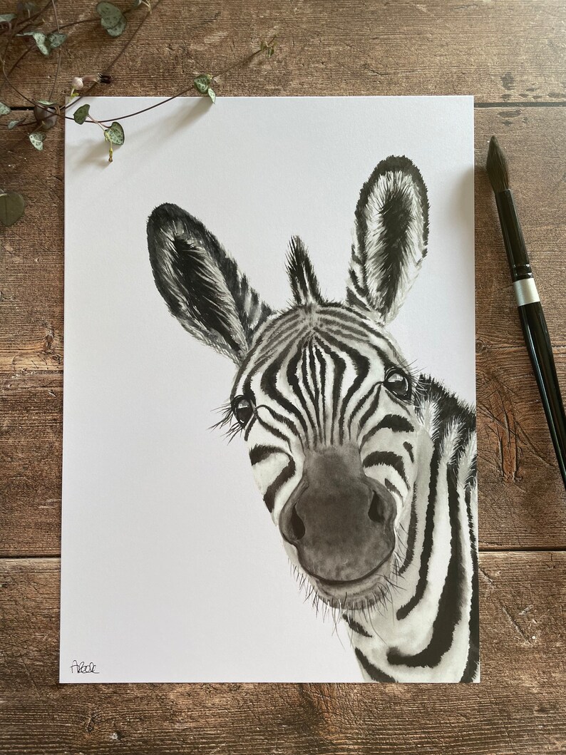 May include: Black and white watercolor painting of a zebra's face. The zebra is looking directly at the viewer with a curious expression. The painting is on a white background.