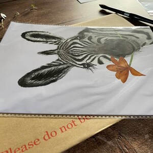 May include: A black and white zebra print with a close-up of the zebra's face. The zebra is looking at the viewer with a friendly expression. A single orange flower is in the zebra's mouth.