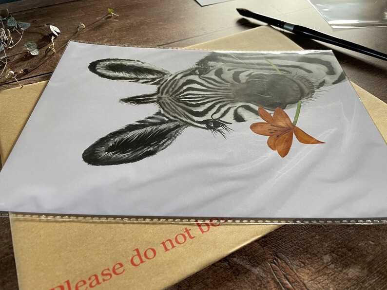 May include: A black and white zebra print with a close-up of the zebra's face. The zebra is looking at the viewer with a friendly expression. A single orange flower is in the zebra's mouth.