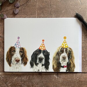 Springer Spaniel Geburtstagskarte