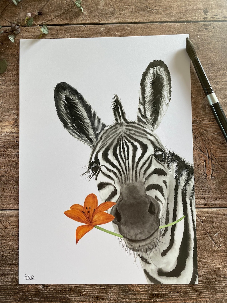 May include: A black and white zebra with an orange lily in its mouth. The zebra is looking directly at the viewer with a friendly expression. The background is white.
