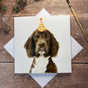 Springer Spaniel Geburtstagskarte