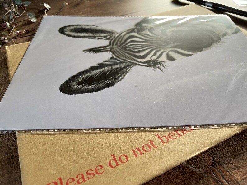 May include: A black and white zebra print illustration of a zebra's head and neck. The zebra is looking to the right of the image. The illustration is on a white background.