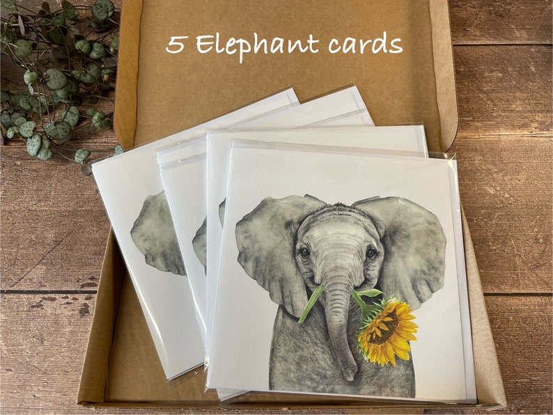 Elephant Card Elephant Thank You Card Elephant Good luck Card Any Occasion Card 5 cards
