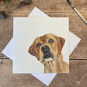 Labrador-kaart | Elke gelegenheid: