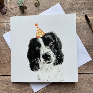 Springer Spaniel Geburtstagskarte