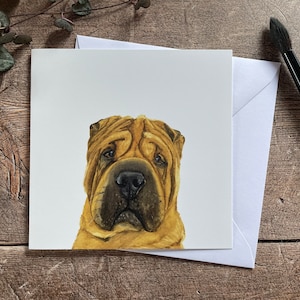 Shar Pei Karte