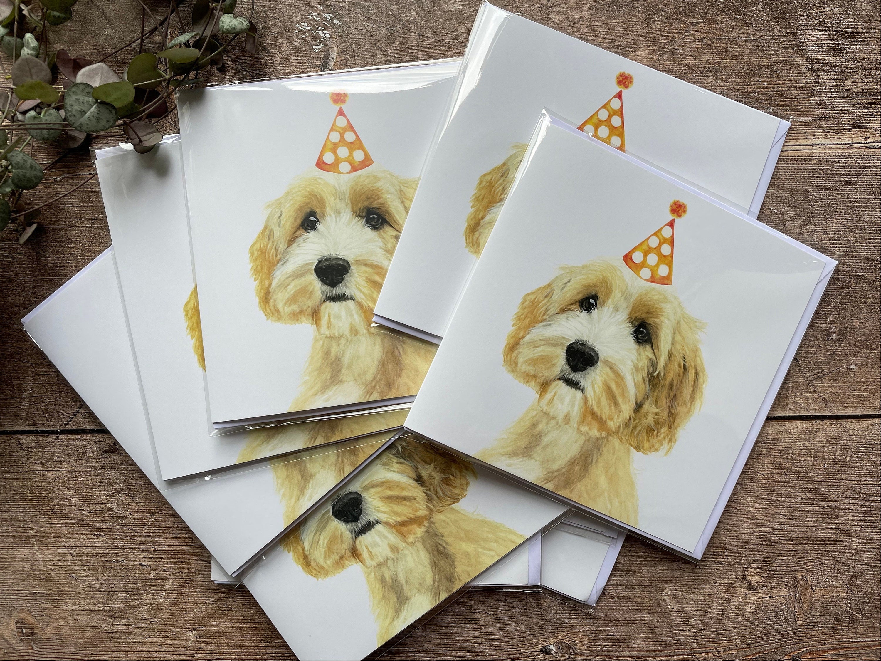 Cavapoo Birthday Card - Etsy