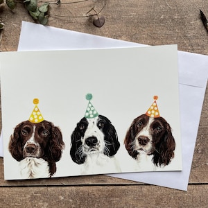 Springer Spaniel Geburtstagskarte
