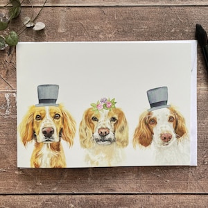 Cocker Spaniel Hochzeitskarte | Cocker Spaniel Verlobungskarte | Cocker Spaniel Jubiläumskarte