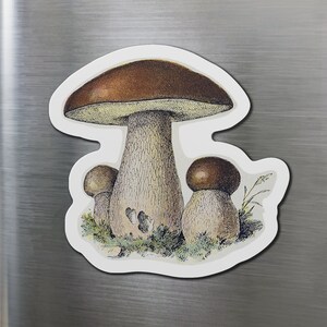 Mushroom Fridge Magnet, Aesthetic Cottagecore Boho Nature Plant Botanical Refrigerator Magnet, Magnetic Mushroom, Fairycore Funky Fungi