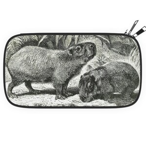 Capybara Passport Reißverschluss Brieftasche, Capybara Geschenk, Tier Canvas Reisebrieftasche, Passhalter, Zubehör Geschenk für Reisende oder Nagetierliebhaber