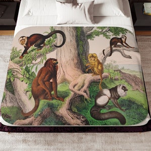 May include: A vintage illustration of five monkeys in a tree. The monkeys are in various poses, some sitting, some standing, and some climbing. The tree is green and leafy, and the background is a light blue sky.