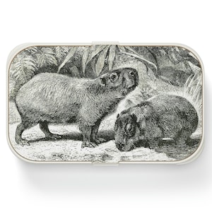 Bento Box for Adults, Capybara Asian Lunch Box, Black and White, Capybara Gift, Japanese Lunch Box, Cute Lunch Box, Desk Accessories