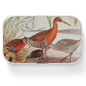Vögel Bento Box, Vintage Audubon Shore Vogel Kunst asiatische Brotdose für Erwachsene, botanische Boho ästhetische Insel Shore Vogel Vogelkunde Natur
