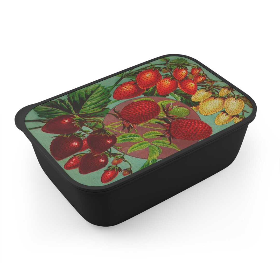 Strawberry Bento Box Cute Botanical Vintage Strawberries Etsy