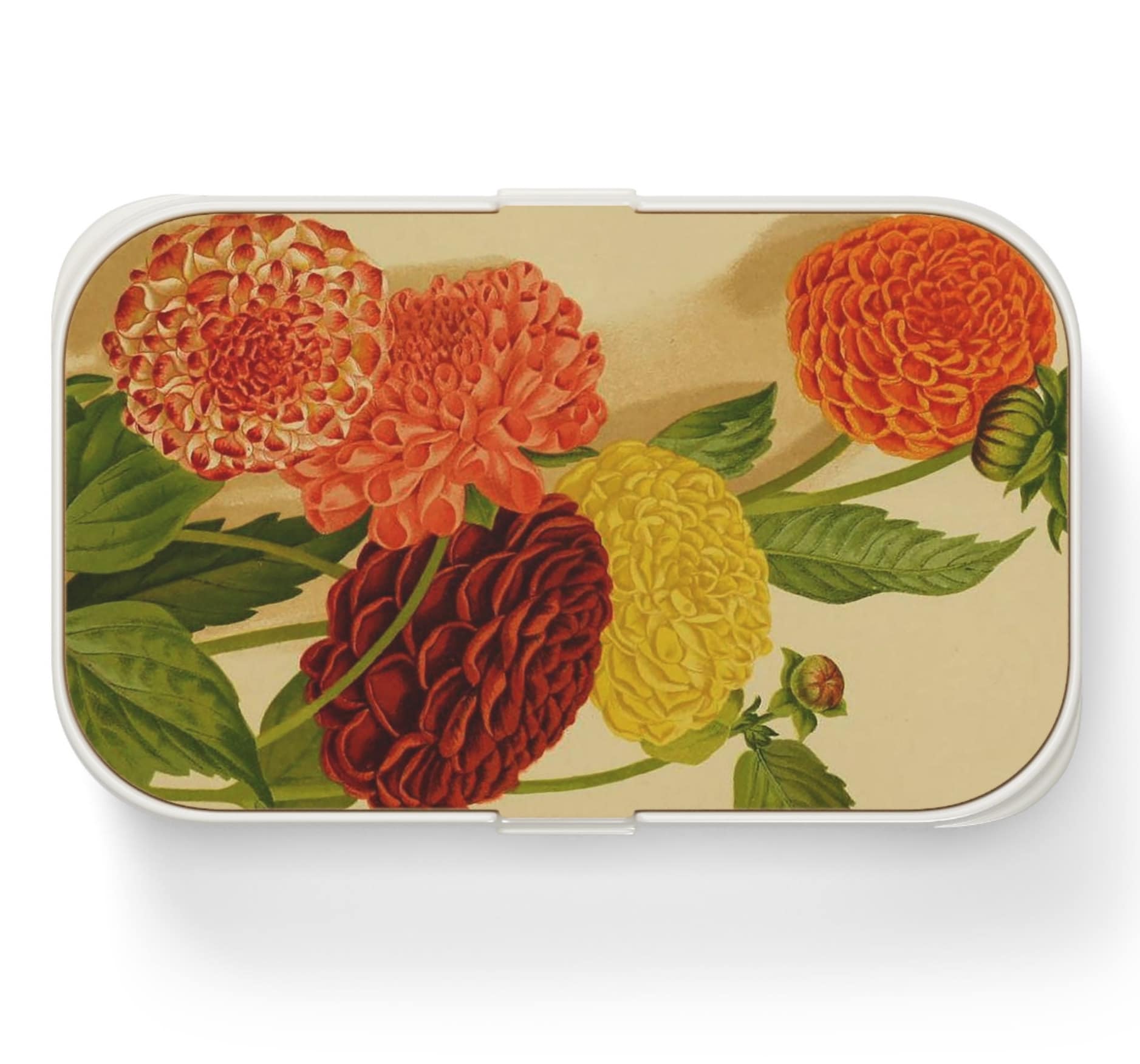 Discover Dahlia Bouquet Bento Box, Colorful Flowers Japanese Lunch Box